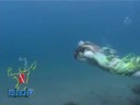 Diving with a Mermaid in Bali