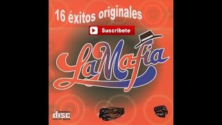 Watch La Mafia Quiero Quiero video