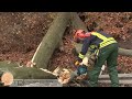 Sturmtief „Godehard" fegt über Thüringen