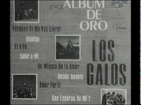 GRUPO CHILENO LOS GALOS grupo chileno los galos:
