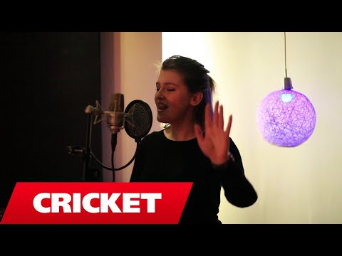 Marshmello & Anne-Marie - FRIENDS (RINNA COVER) Marshmello & Anne-Marie - FRIENDS (RINNA COVER) #1