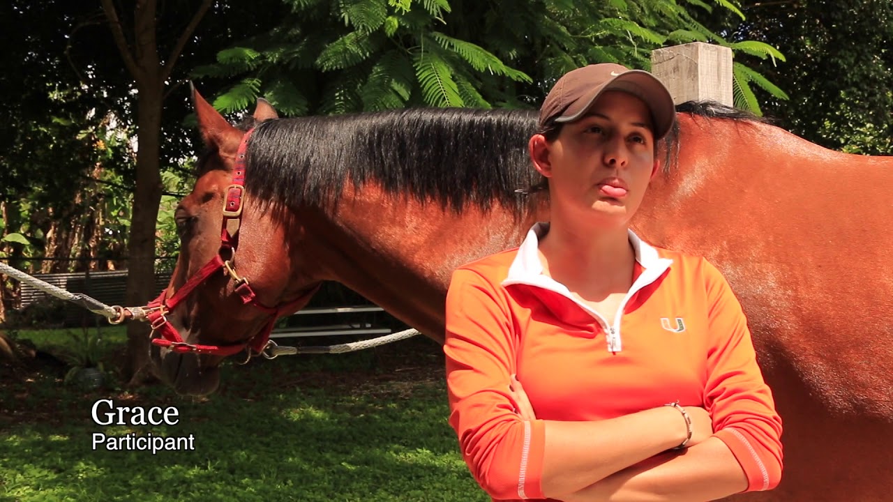 About See Horse Miami