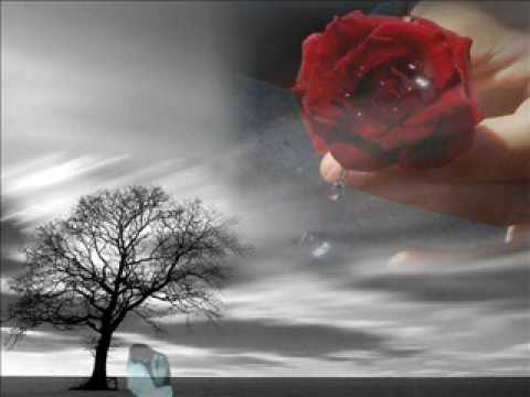 Sau dard hai from janeman tanveer