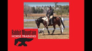 MONTH ONE UPDATE RMHT