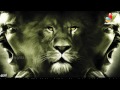 Singam 2 First Look Latest Tamil Movie Surya Anushka Hansika images Singam 2 First Look Latest Tamil Movie Surya Anushka Hansika