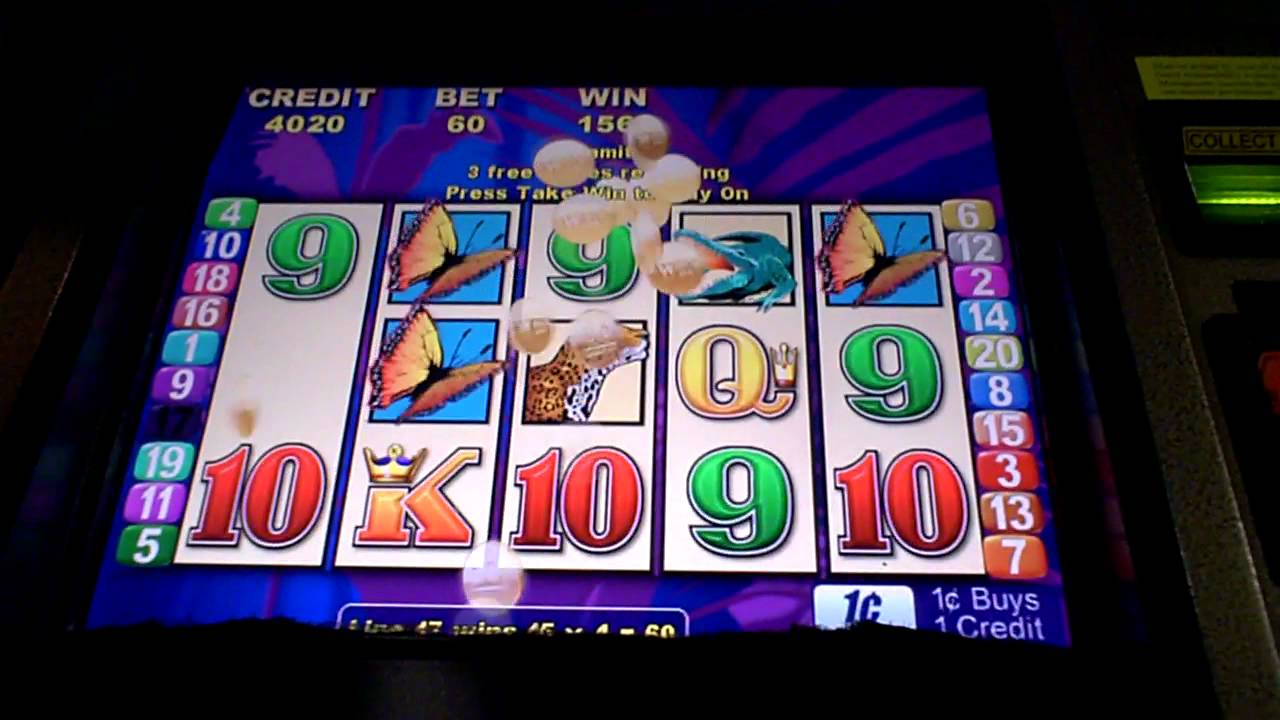 Brazil slot machine online, free