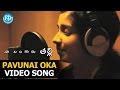Pavunai Oka Pavunai Video Song - Naa Bangaru Talli Movie | Anjali Patil , Siddiqui