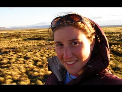 Josh Fox's Producer Faces 45 Years In Prison For Journalism