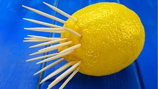7 Amazing Food Preservation Life Hacks in 5 mins