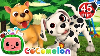 Puppy Play Date + More Cocomelon Nursery Rhymes & Kids Songs