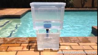 Simple "u" auto-siphon for aquaponics (bell-less). Видео ...