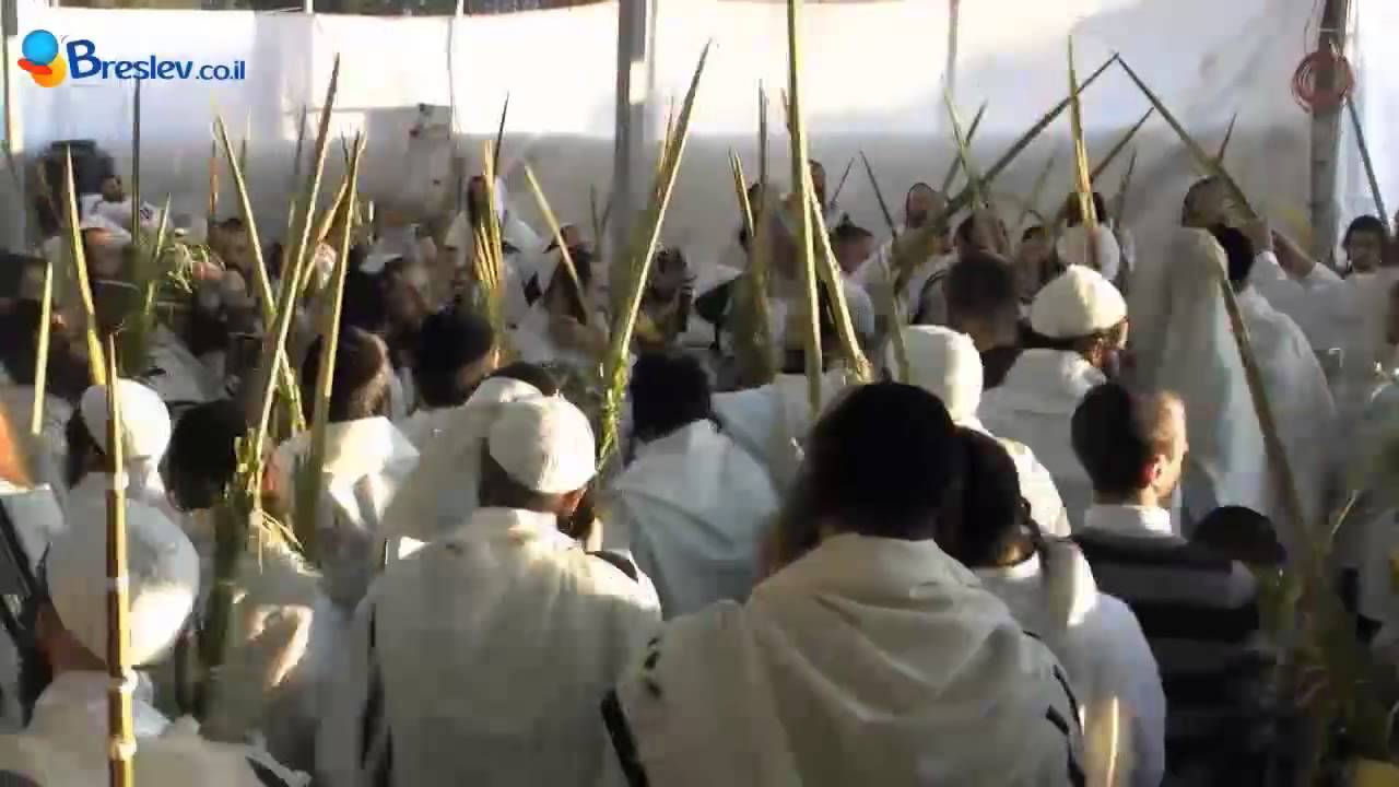 Праздник суккот Праздник суккот