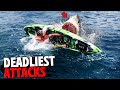 Deadliest Shark Attacks of 2023 MARATHON!