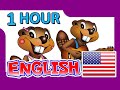 "English Level 1 DVD" - 1 Hour, Learn to Speak English, Teach ESL, EFL, Kids Language School
