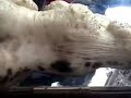 image Jadi Patung Karena Terkutuk Oleh Allah Swt