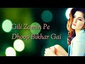 Gili zameen pe dhoop bikhar gai lyrics video