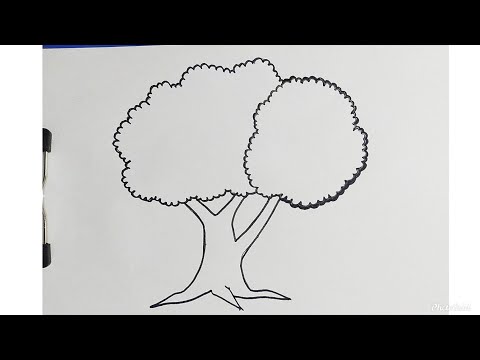 Cara Mudah Menggambar Pohon Paling Simpel dan Gampang | Tutorial Indonesia