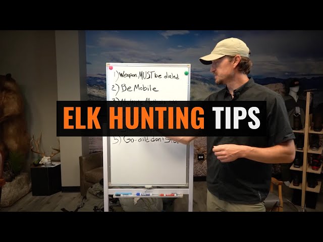 Watch ELK HUNTING TIPS on YouTube.