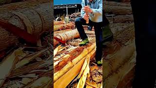 Peeling Outer Bark From Large Wooden Log Using Sharp Hand Tool