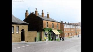Butler Street Ani