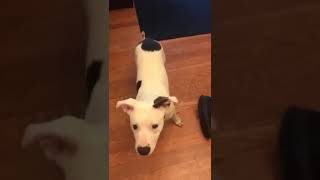 Jasmine Video 1562797654