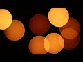 Zedd Find You Lyrics Zedd Find You Lyrics