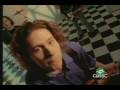 School of Fish - 3 Strange Days