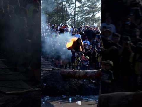 Swamp Rails and Wild Rides at Swampfest! #skateboarding #bmx