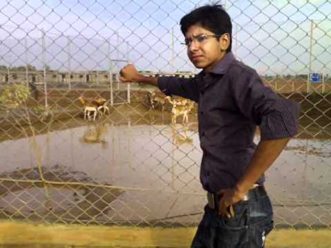 dil se mein ne dekha pakistan by almas