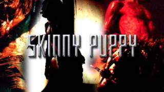 Watch Skinny Puppy Mirror Saw video