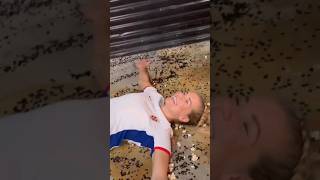 e0n_yHmXw-4 Video Image