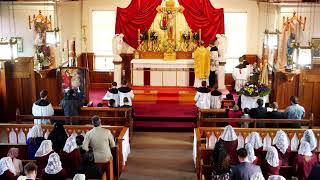 SSPXNZLIVE - Feast of Saint Anthony of Padua - Sung Mass - 13 June 2021
