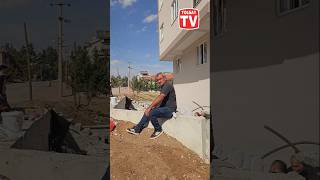 .Toltv