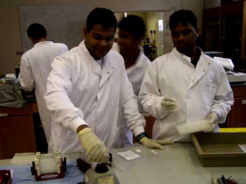 Adenosine Deaminase Deficiency. students working on ADA gene ( adenosine deaminase deficiency) summer 2007.