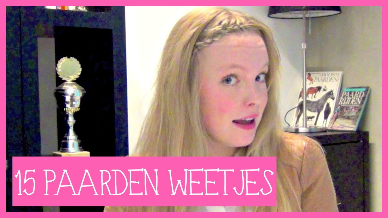 paarden weetjes