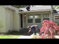 dropped phone on car