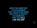 Yellow Rose Of Texas in the style of Mitch Miller & His Orchestra And Chorus