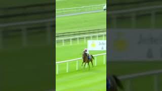 Enable - What A Racehorse She Was