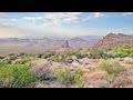 Wildlife of the American Southwest and Mexico! Video