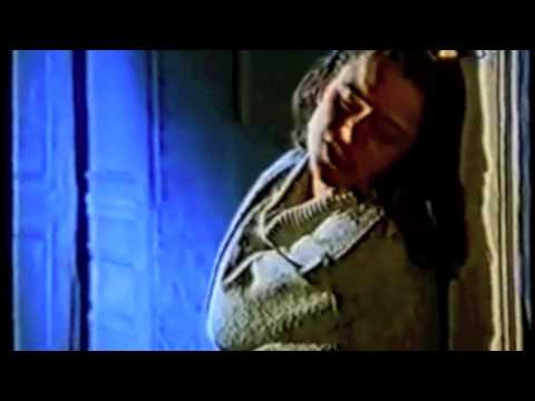 Wildes Tier Video