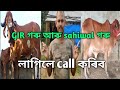 🙏 sahiwal and Gir গৰু লাগিলে call কৰিব 8131000920 🙏