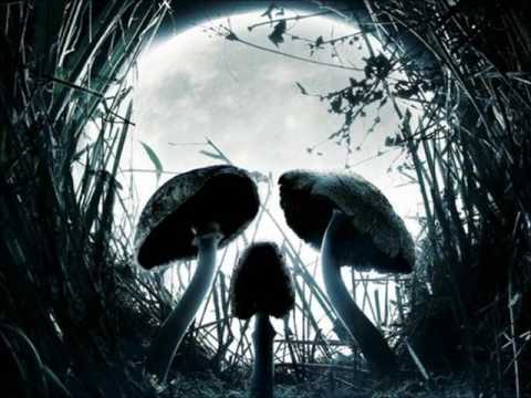 Skull Forrest Video