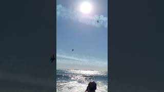 Us Navy Blue Angels Crossover Pacific Airshow Hb 100221 Iv