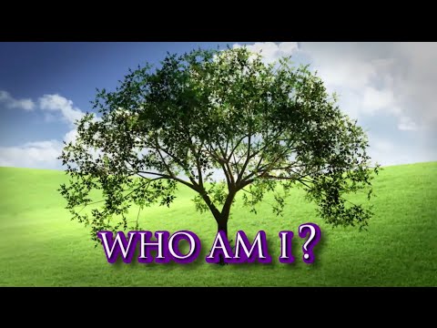 Who Am I? ‘The Real’ DNA Results Who Am I? ‘The Real’ DNA Results