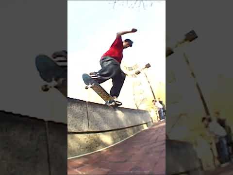 Chris Cole 1999 Classic Skateboarding Shorts