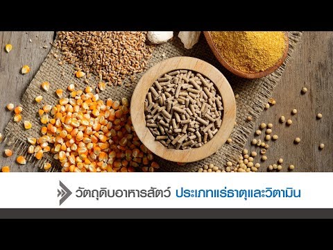 ◣ มสธ.◢ วัตถุดิบอาหารสัตว์ ประเภทแร่ธาตุและวิตามิน