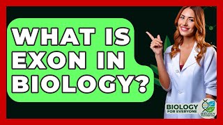 What Is Exon In Biology? - Biology For Everyone