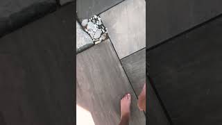 I Stepped On A Snail