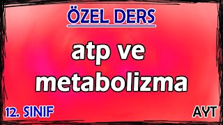 7) ATP ve Metabolizma - Özel Ders (12. Sınıf)