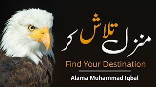 Alama Iqbal Poetry | Allama Iqbal | Allama Iqbal Shayari